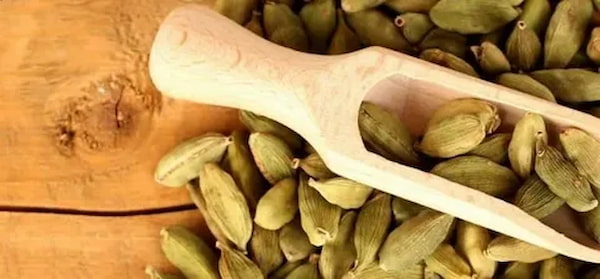 تصویر 4 از قیمت هل سبز عمده + فروش ویژه